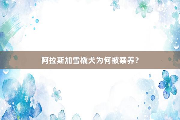 阿拉斯加雪橇犬为何被禁养?
